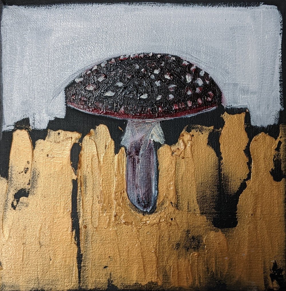 PXL_20220602_153049831_