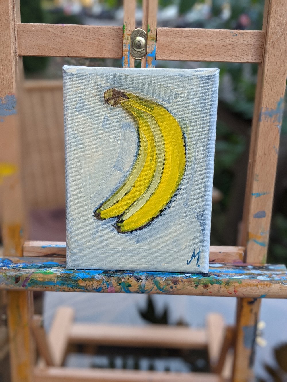 PXL_20231116_143751483.PORTRAIT